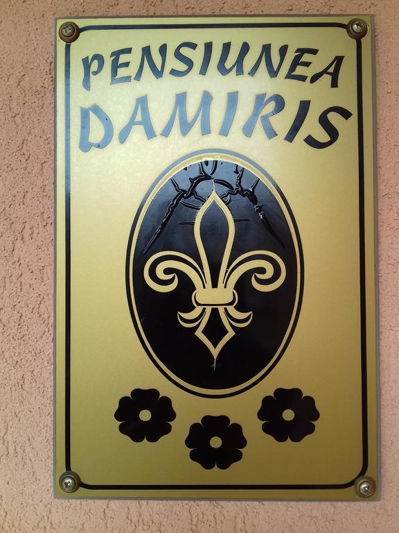 Pensiunea Damiris 바일레펠릭스 외부 사진